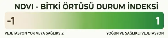 Eksi 1 ile artı 1 arasındaki değerleri ve renk değişimini gösteren NDVI bitki örtüsü durum indeksi lejantı