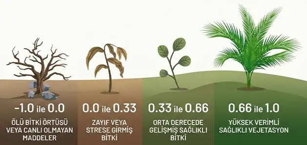 NDVI değer aralıklarına göre bitki sağlığı sınıflandırması